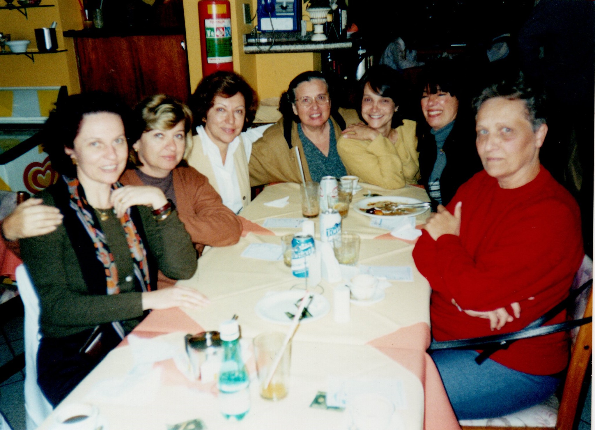 Mestrado- Professoras Unifesp - 2003